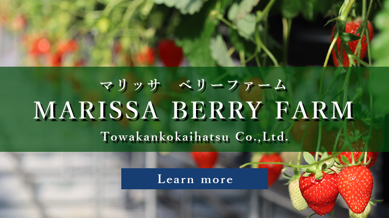 マリッサベリーファーム