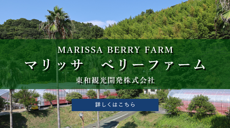 マリッサベリーファーム