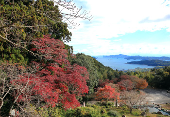 紅葉（帯石観音・文殊堂）